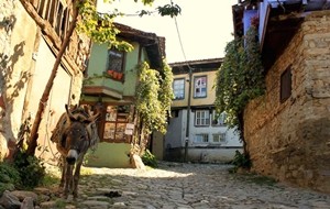 cumalıkızık köyü ataşehir guide 2