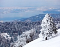 Kar ve Kış Cenneti : Kartepe